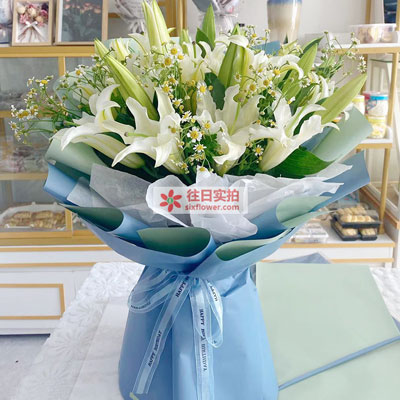 新乡8支白色多头百合洋甘菊，互倾的思念