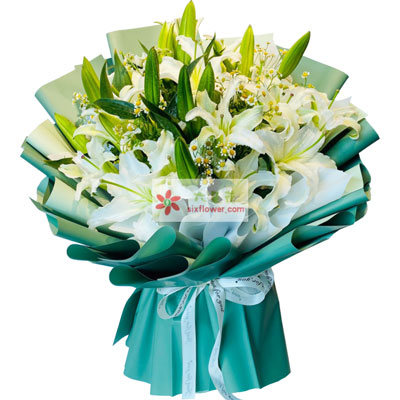 新乡8支白色多头百合洋甘菊，如潮的思念