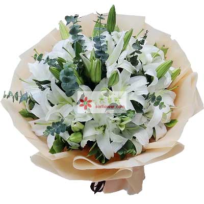 新乡9支白色多头百合，祝福你幸福